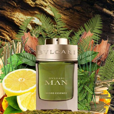 bvlgari man wood essence fragrantica